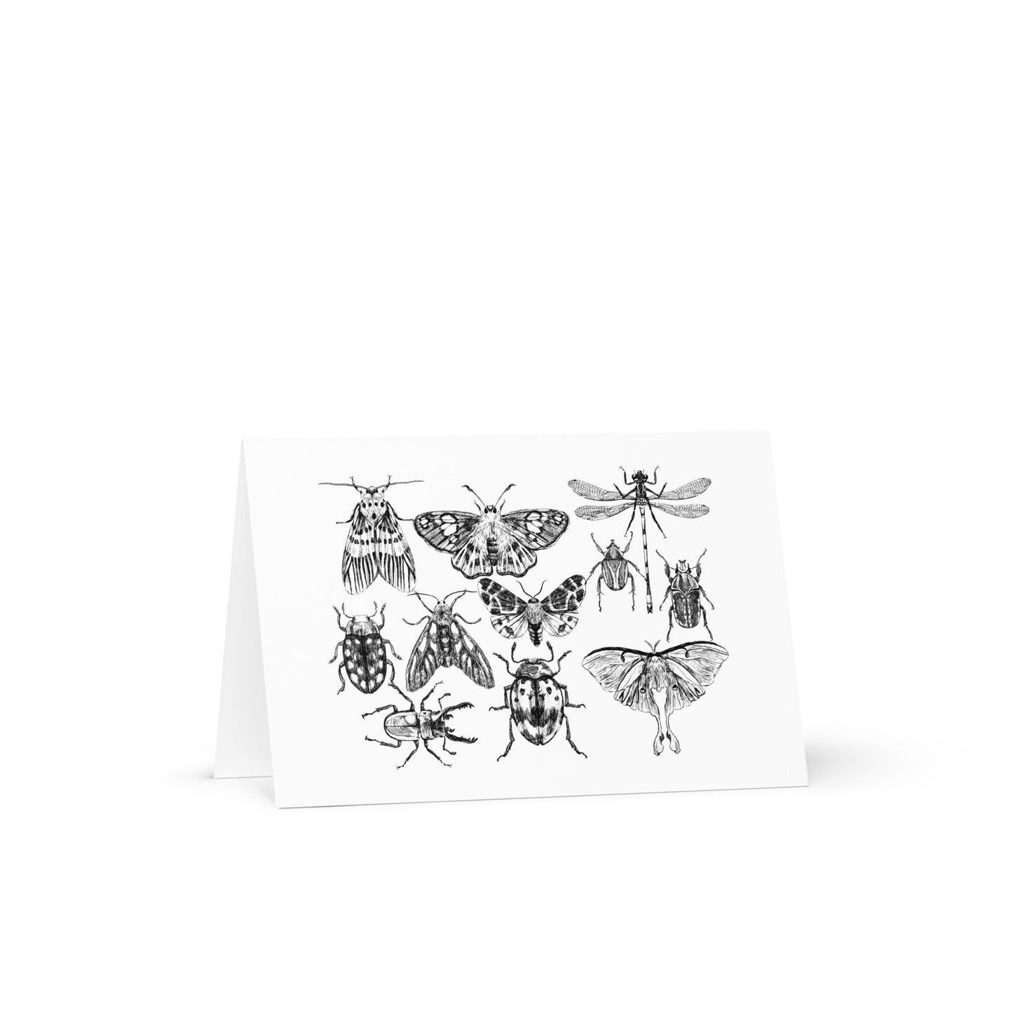 Insect Greeting Card