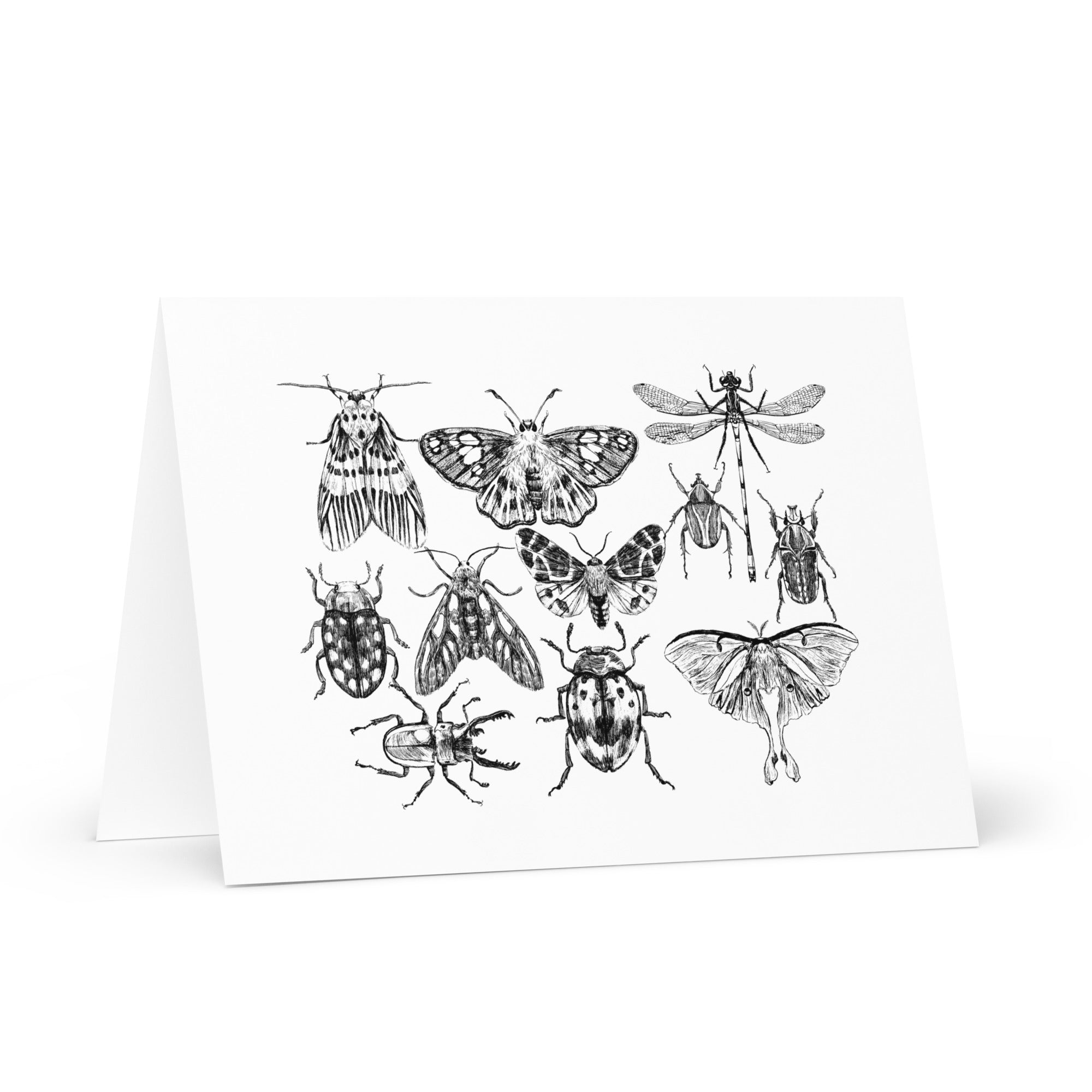 Insect Greeting Card
