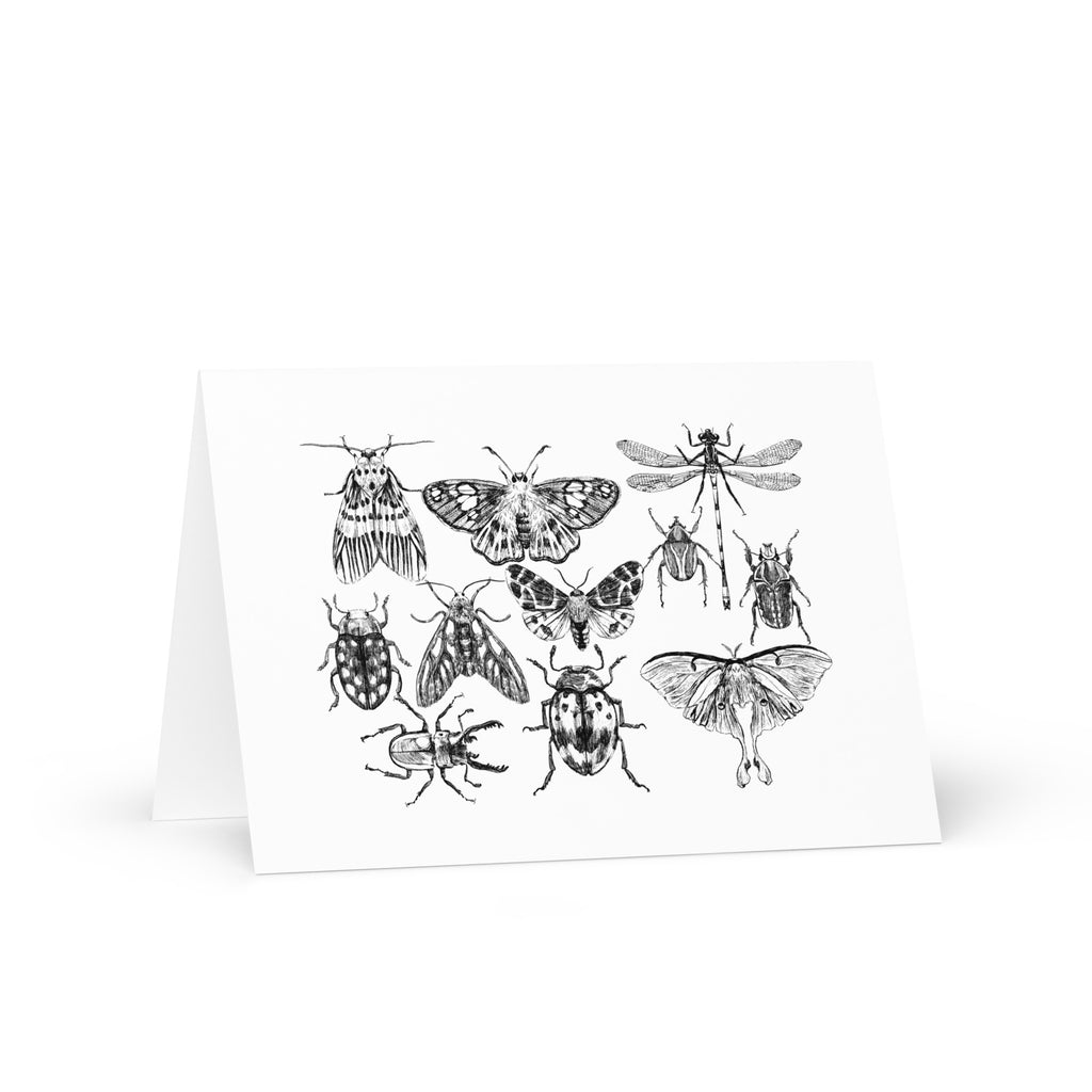Insect Greeting Card