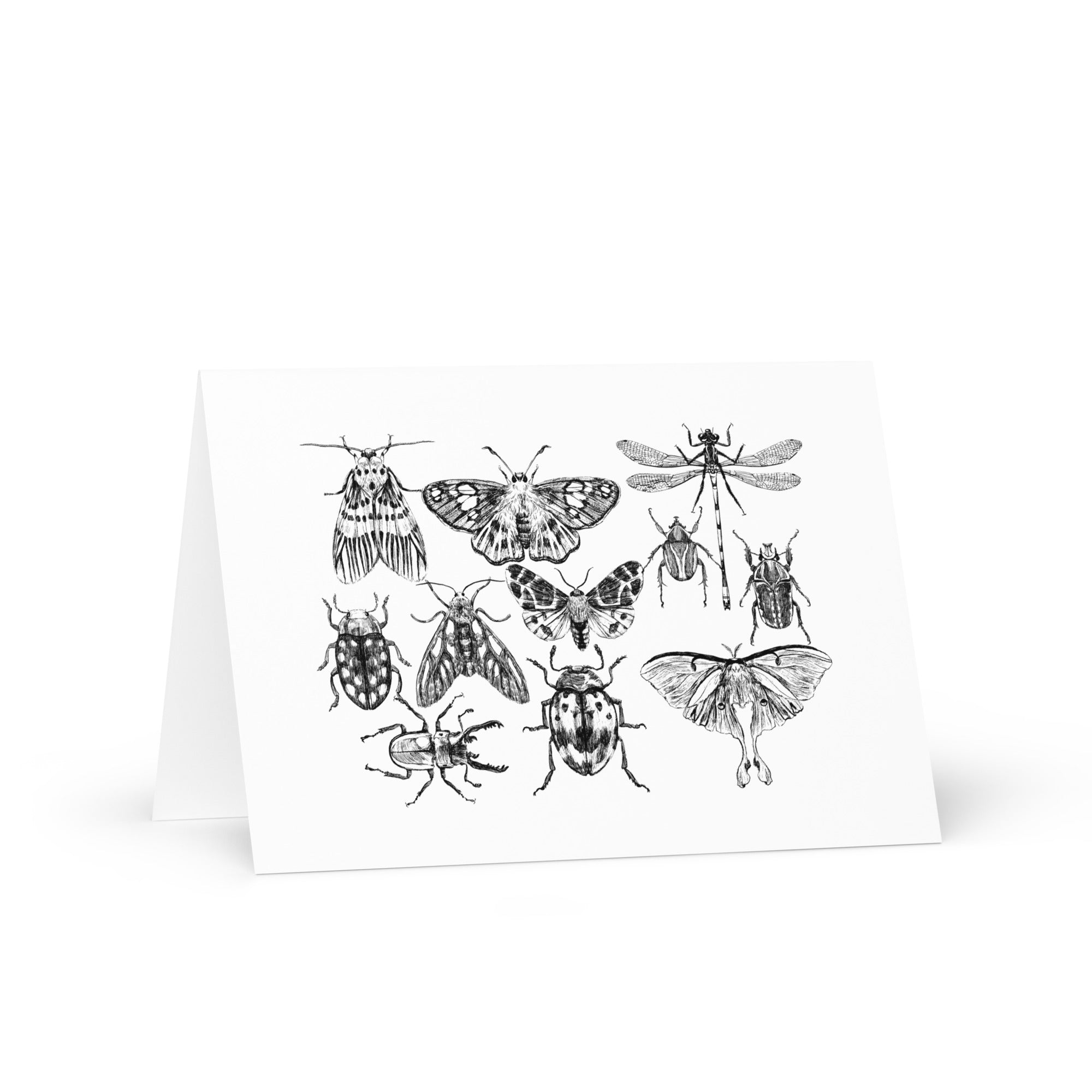 Insect Greeting Card